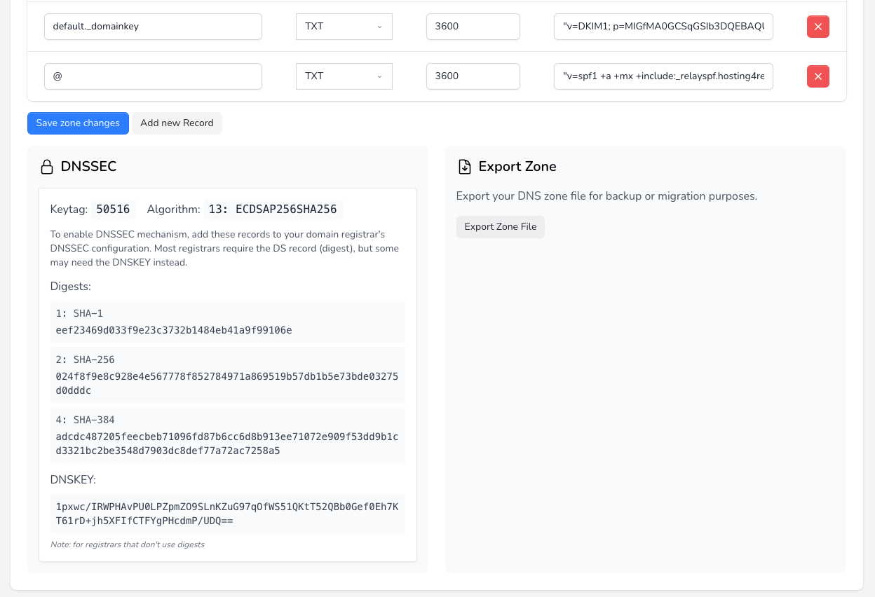 DNS Zone Eksport Interface